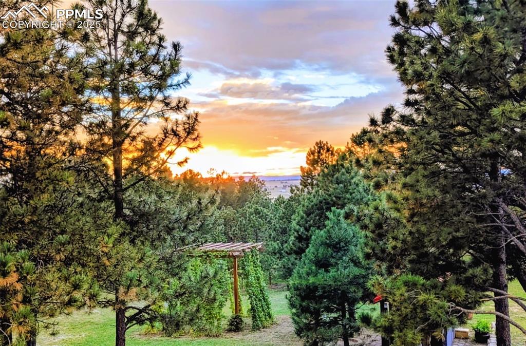 Image 5 of 50: Sunsets from your deck, overlooking the garden.
