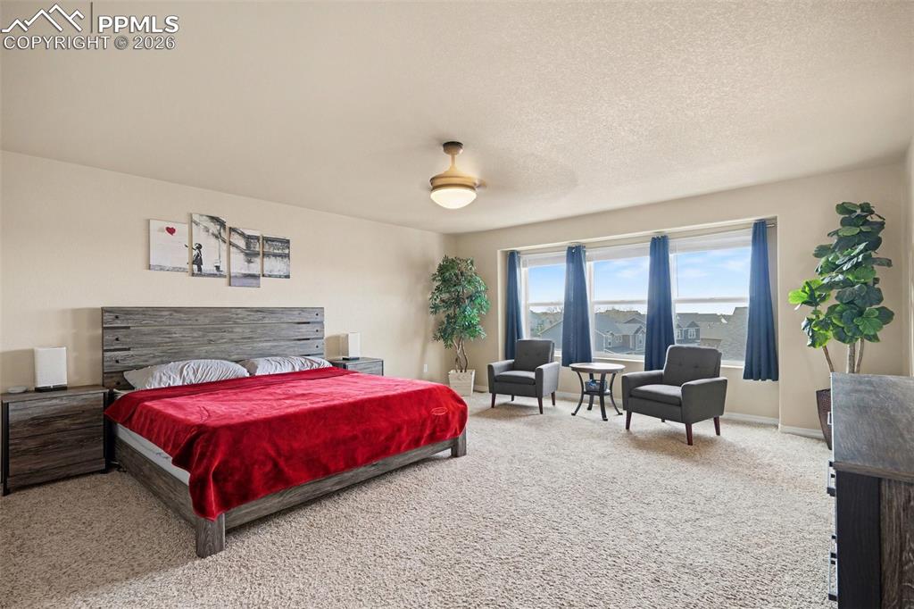 Image 13 of 40: Spacious bedroom featuring neutral wall paint, light-toned carpet flooring,