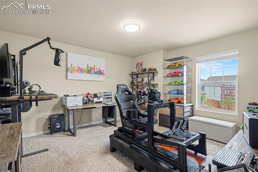 Image 23 of 40: Carpeted room with neutral painted walls