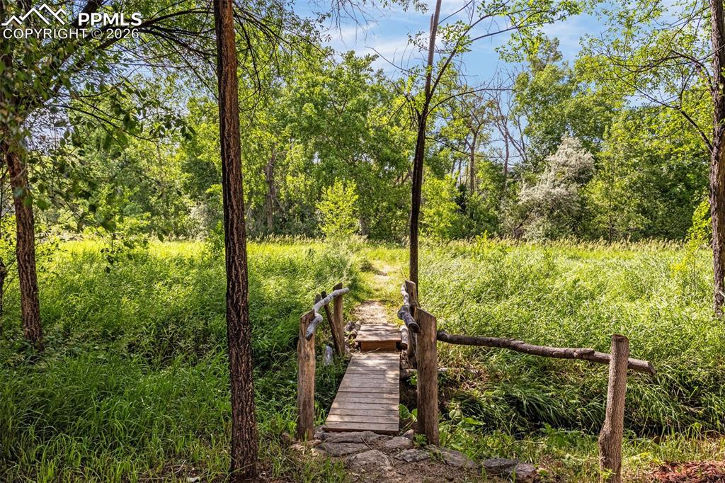 Image 17 of 19: Community