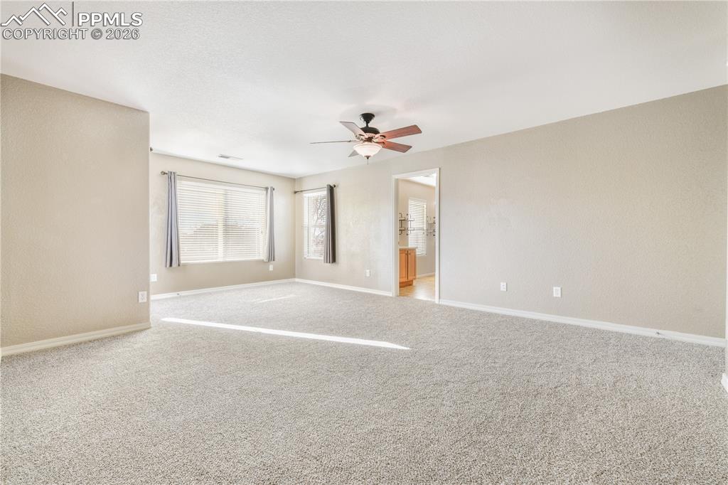 Image 25 of 50: Other