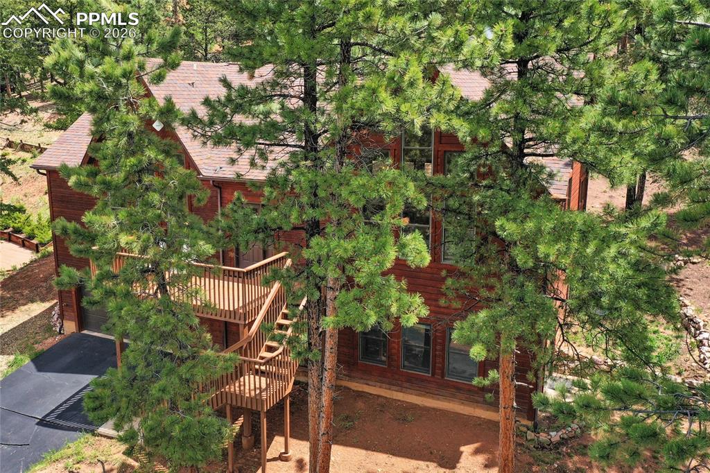 Image 33 of 34: You said you wanted to be surrounded by trees, right?