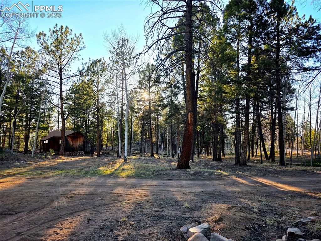 Image 24 of 33: Level driveway