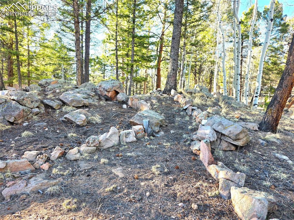 Image 33 of 33: Yard