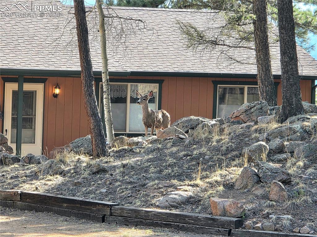 Image 48 of 49: Deer love this property