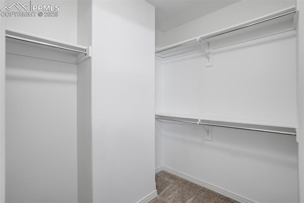 Image 22 of 50: Walk in closet with carpet