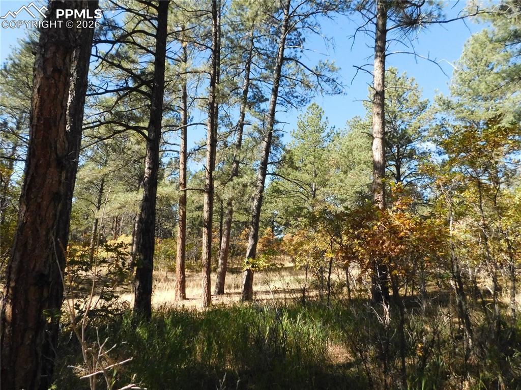 Image 11 of 29: No Description Available