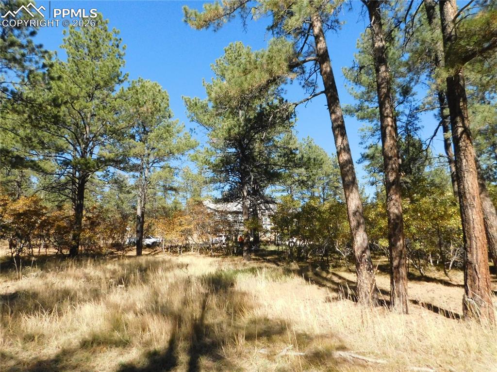 Image 13 of 29: No Description Available