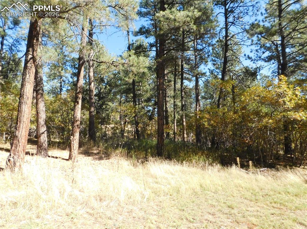 Image 14 of 29: No Description Available