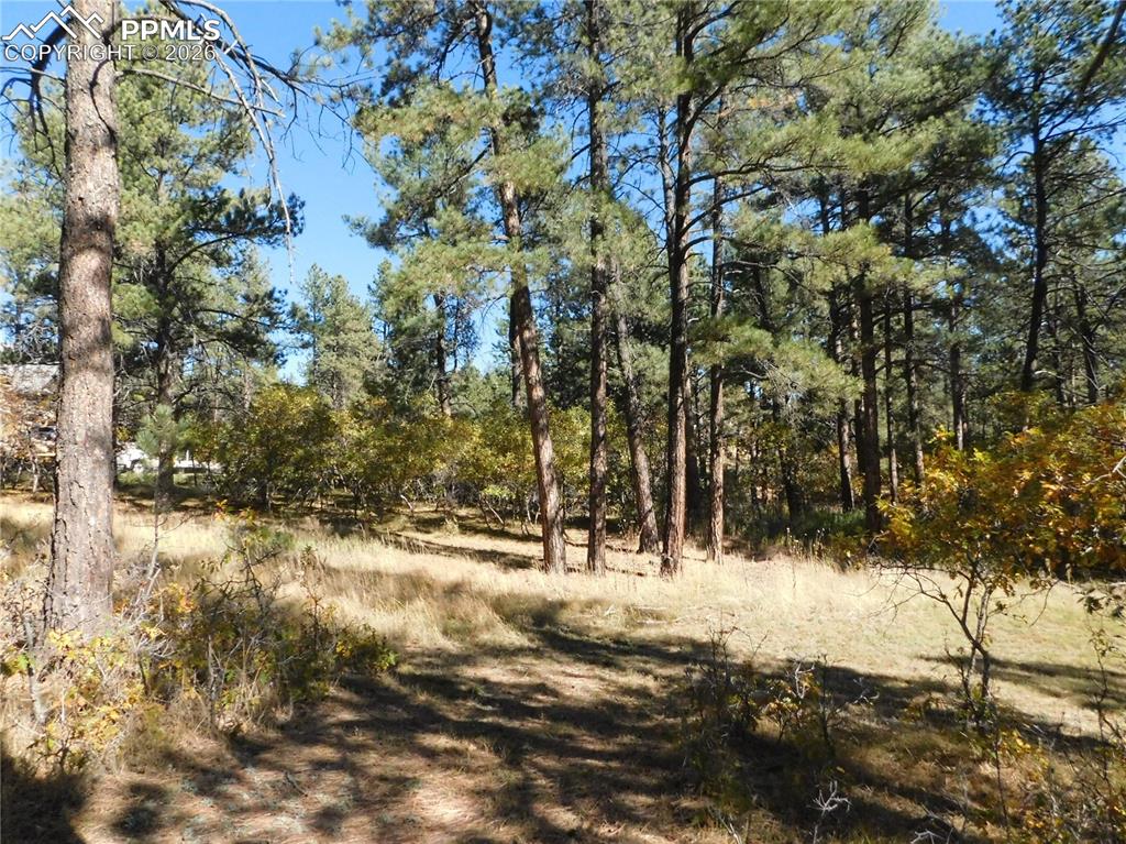 Image 15 of 29: No Description Available