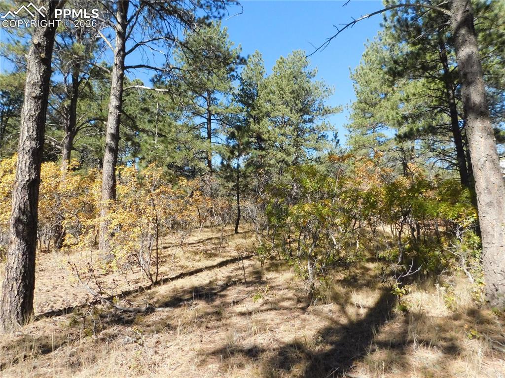 Image 16 of 29: No Description Available