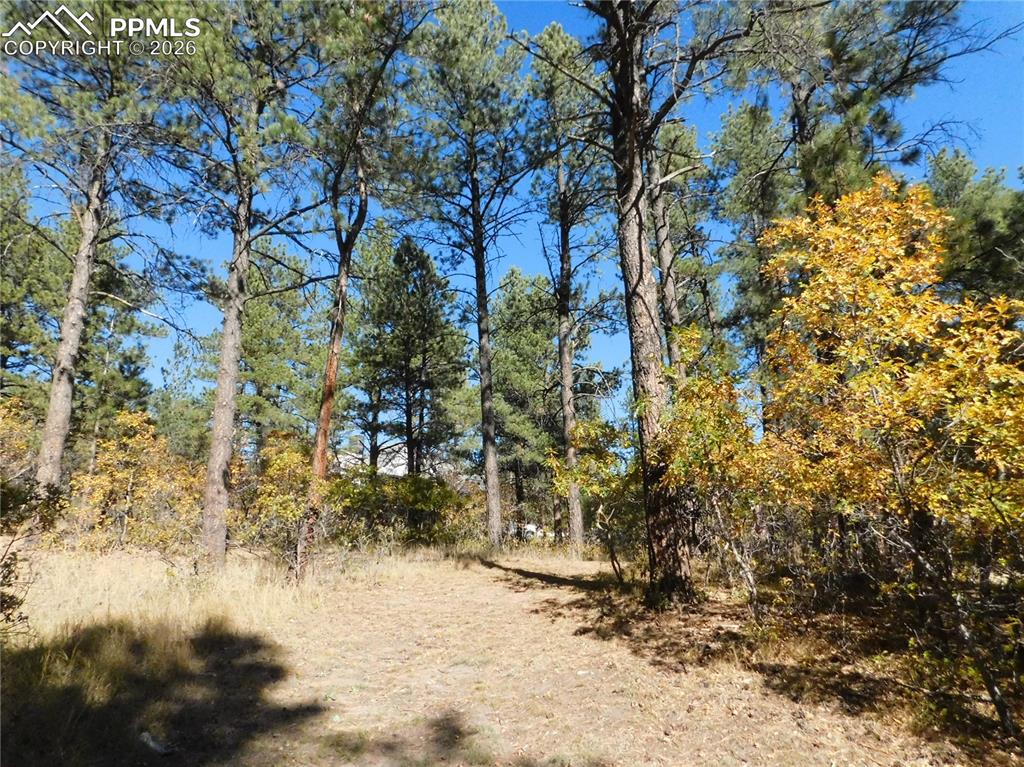 Image 17 of 29: No Description Available