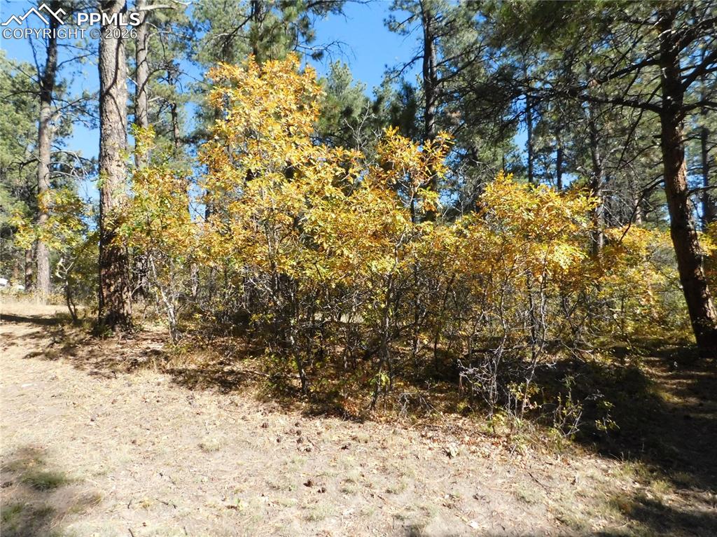 Image 18 of 29: No Description Available