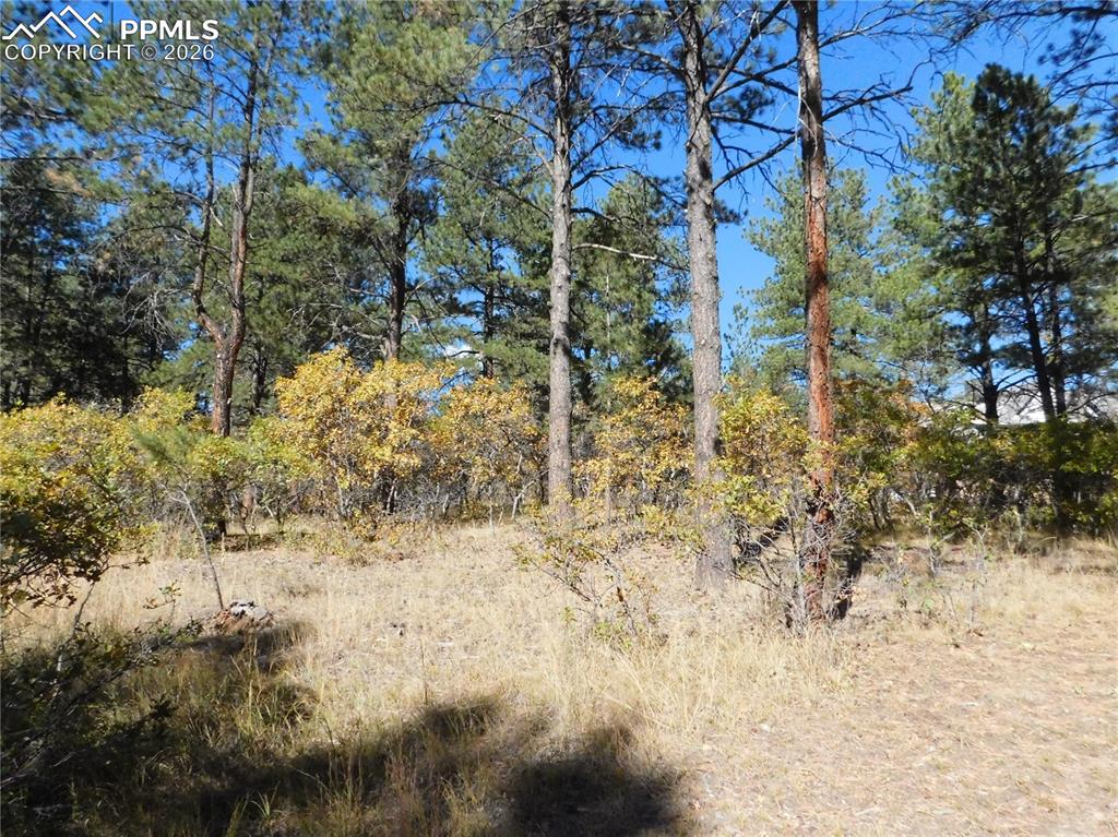 Image 19 of 29: No Description Available