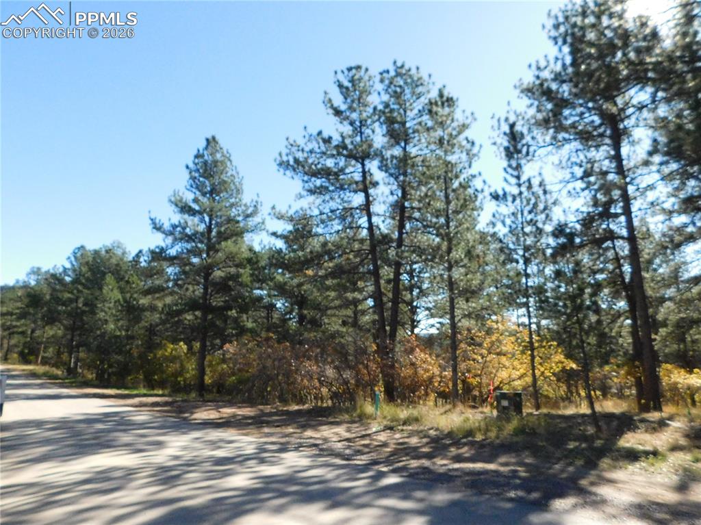 Image 2 of 29: No Description Available