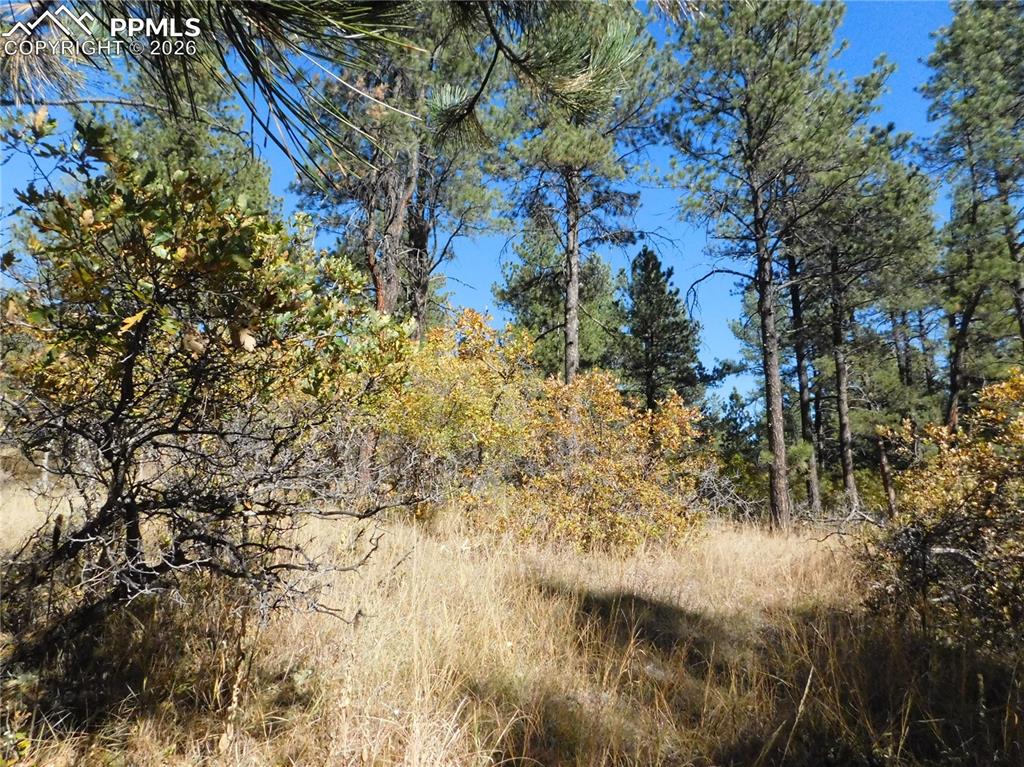 Image 21 of 29: No Description Available