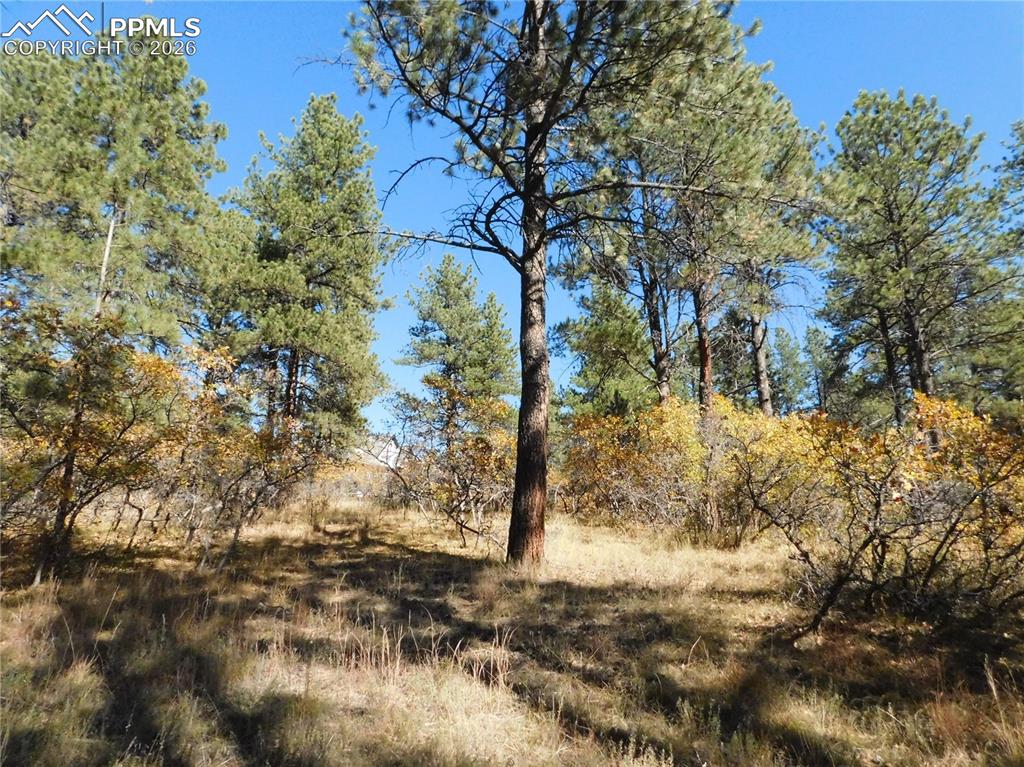 Image 23 of 29: No Description Available