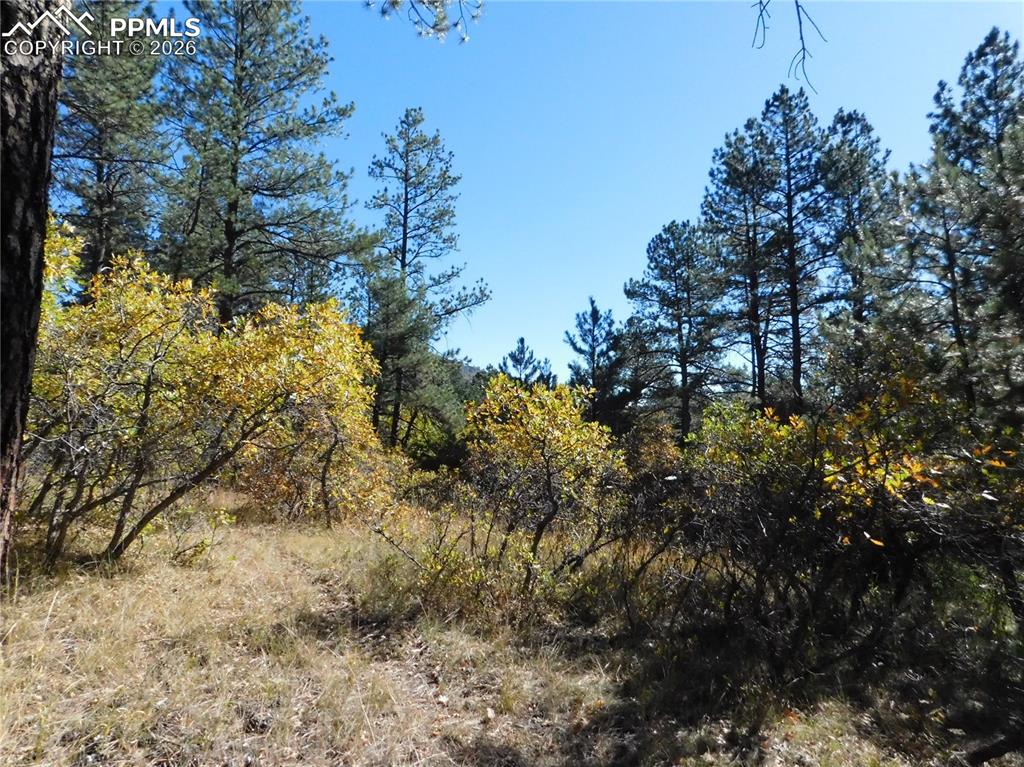 Image 24 of 29: No Description Available