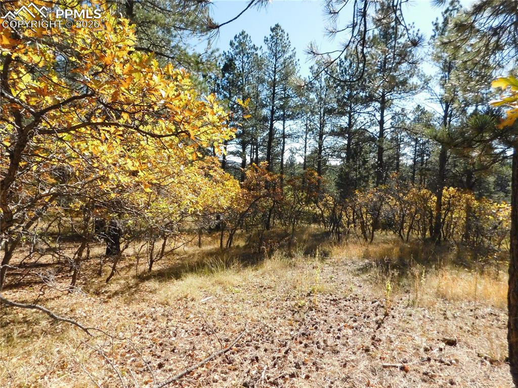 Image 27 of 29: No Description Available