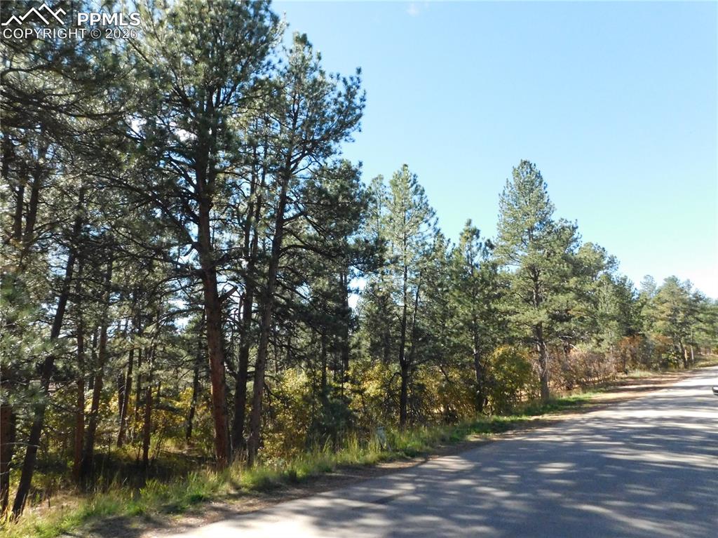 Image 4 of 29: No Description Available