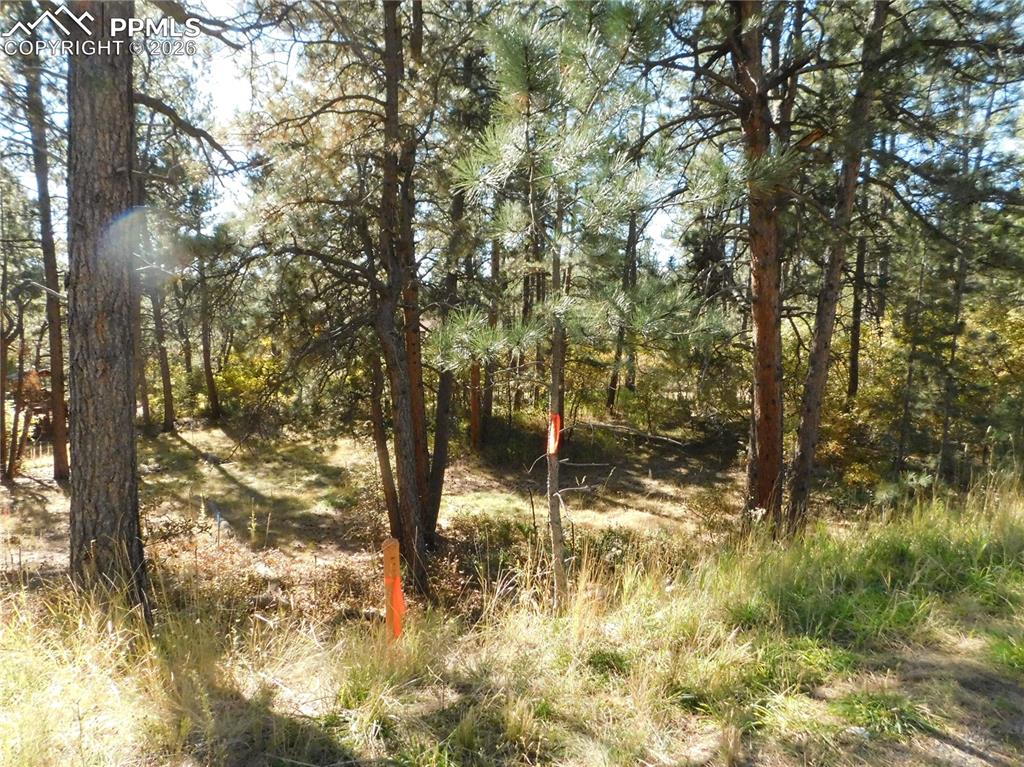 Image 5 of 29: No Description Available