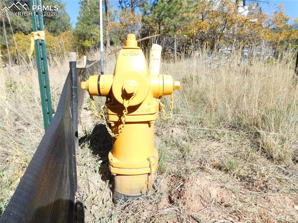 Image 6 of 29: No Description Available