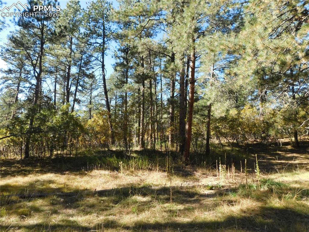 Image 8 of 29: No Description Available