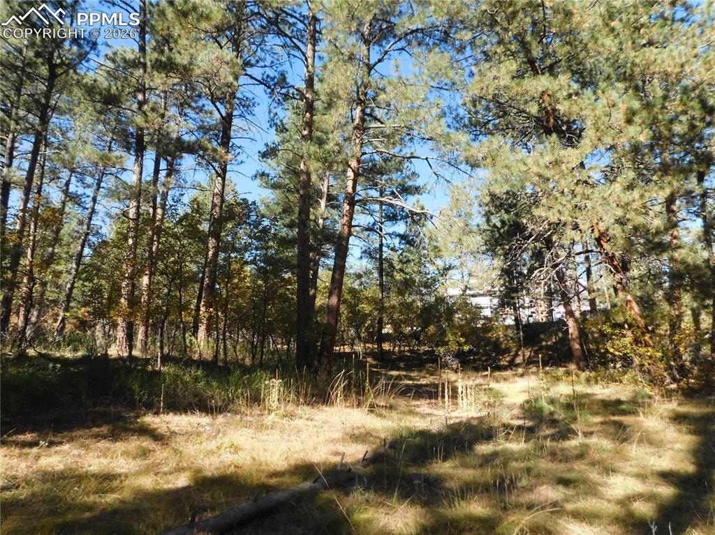 Image 9 of 29: No Description Available