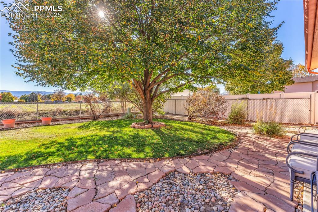 Image 34 of 43: Yard