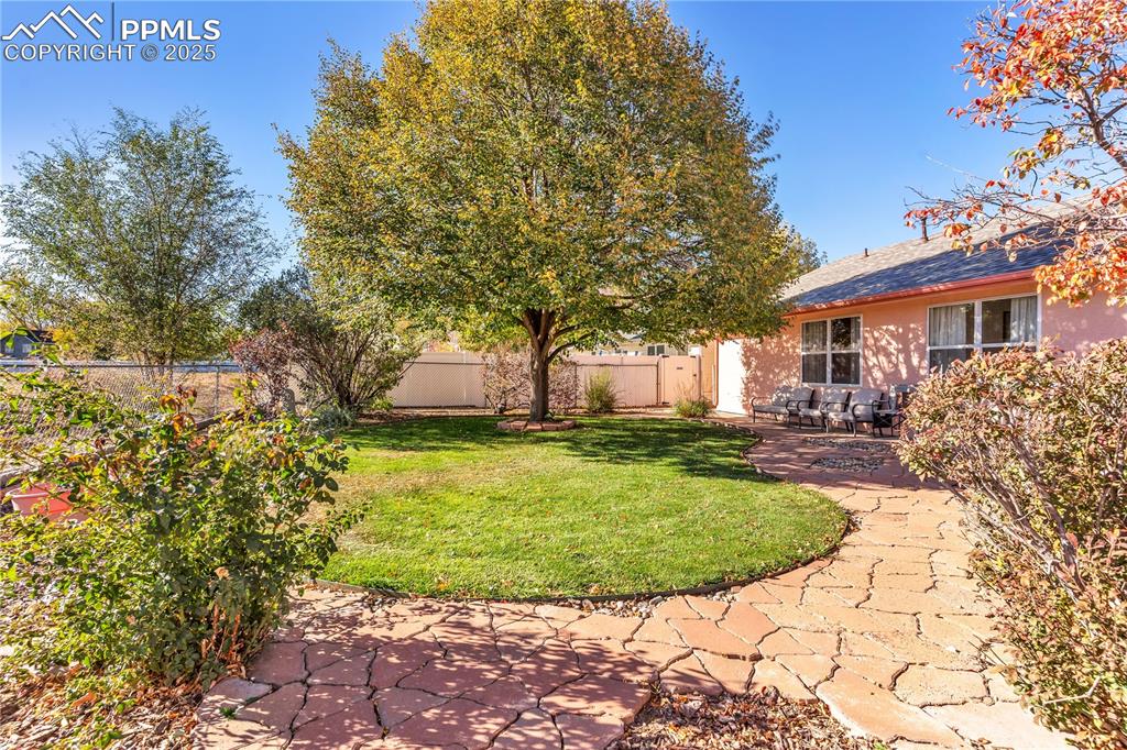 Image 38 of 43: Yard