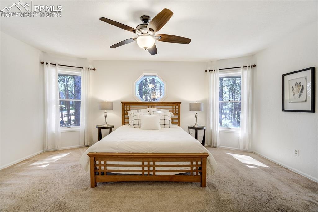 Image 20 of 50: Spacious Primary Bedroom with incredible natural light!