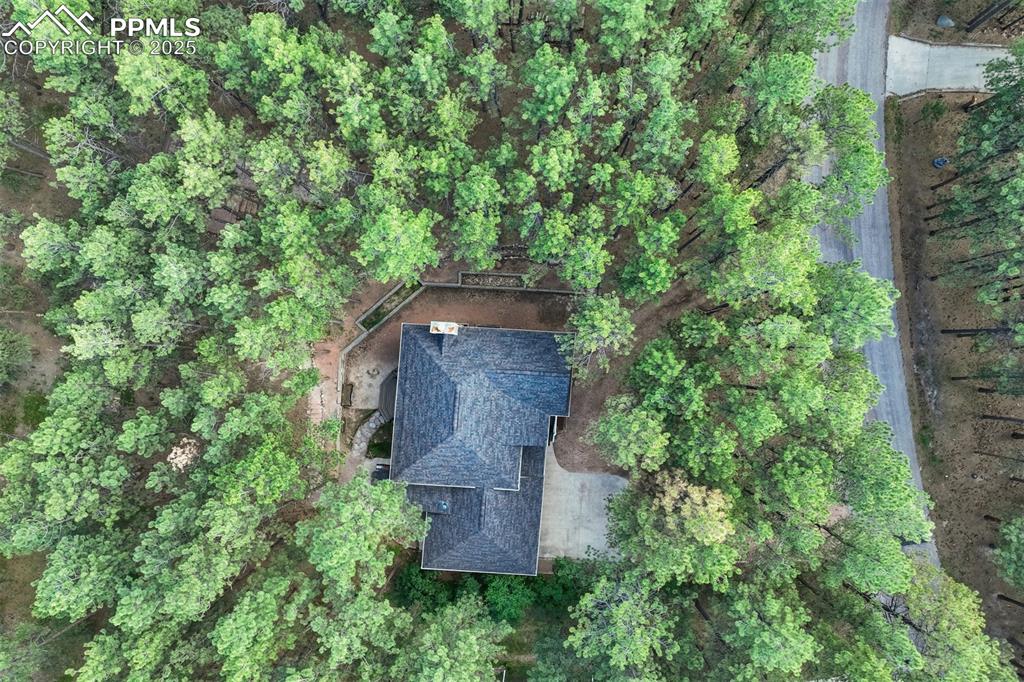 Image 48 of 50: Amazing home nestled in the trees!
