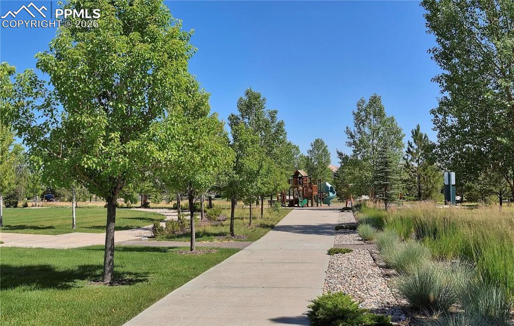 Image 50 of 50: Park