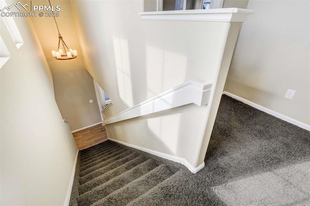 Image 14 of 39: Other