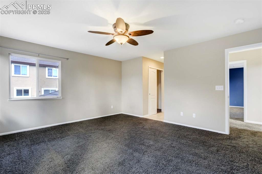 Image 39 of 39: Other