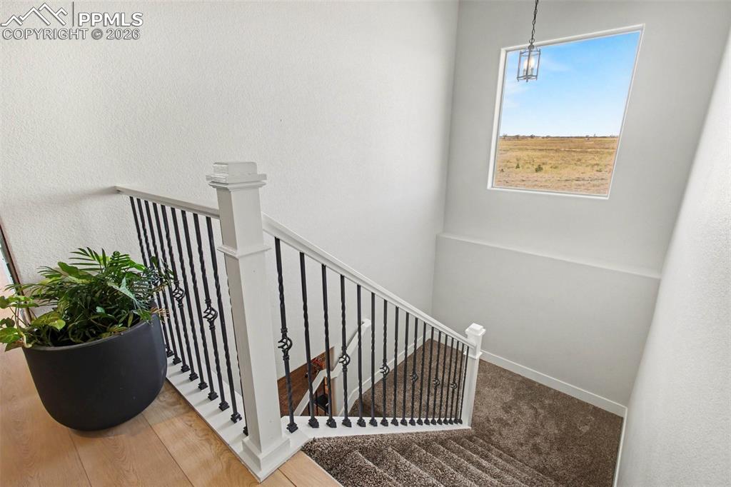 Image 27 of 49: Other