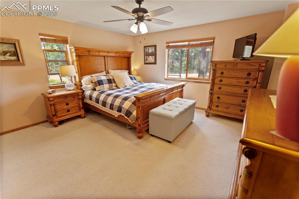 Image 10 of 30: Main level Master bedroom