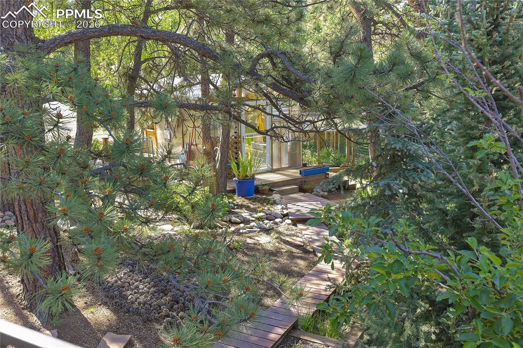 Image 2 of 30: Lush gardens