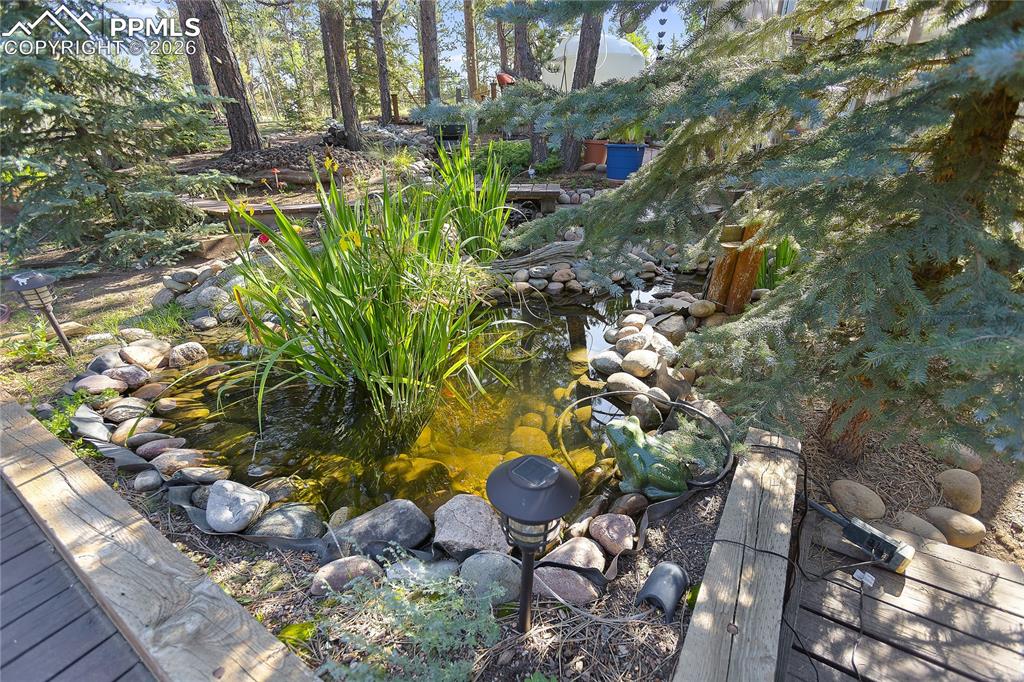 Image 29 of 30: Koi pond