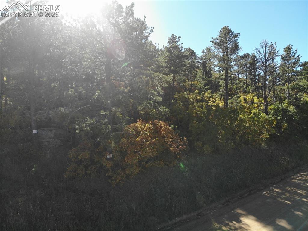 Image 17 of 19: Other