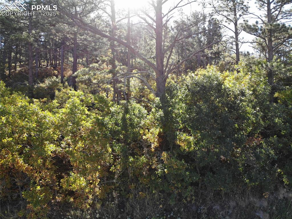 Image 19 of 19: Other