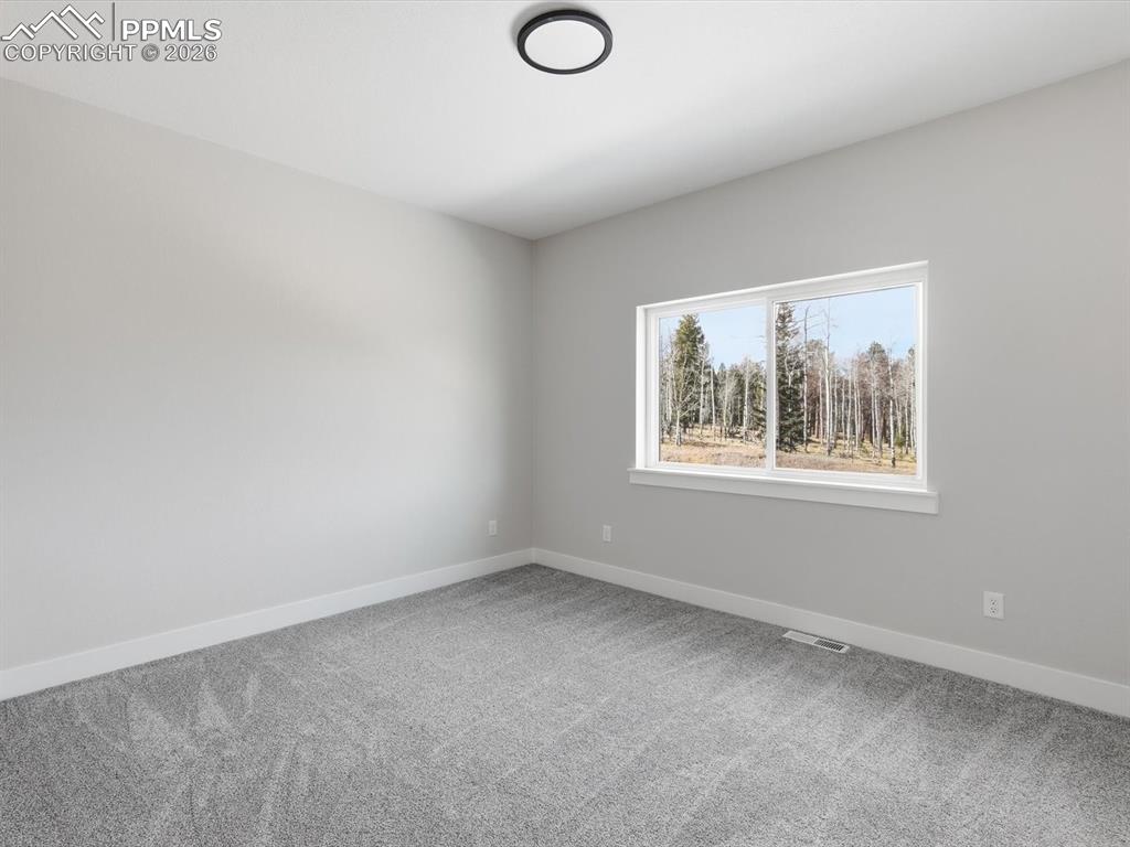 Image 32 of 46: Other