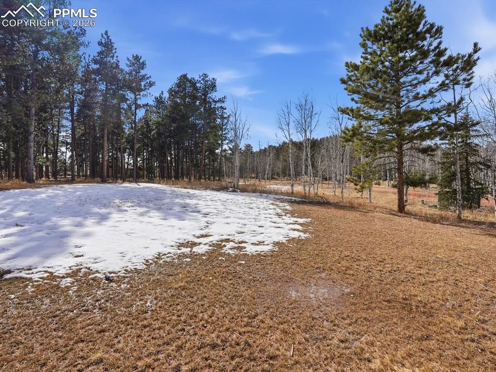 Image 44 of 46: Yard