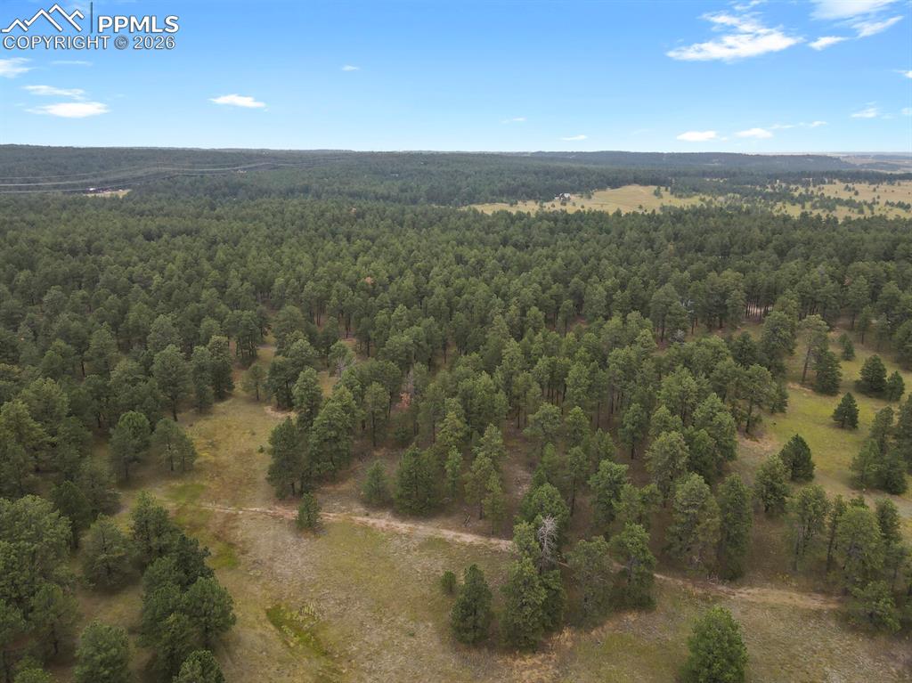 Image 4 of 11: Aerial View