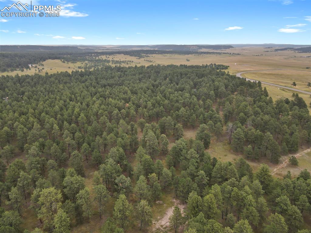 Image 7 of 11: Aerial View