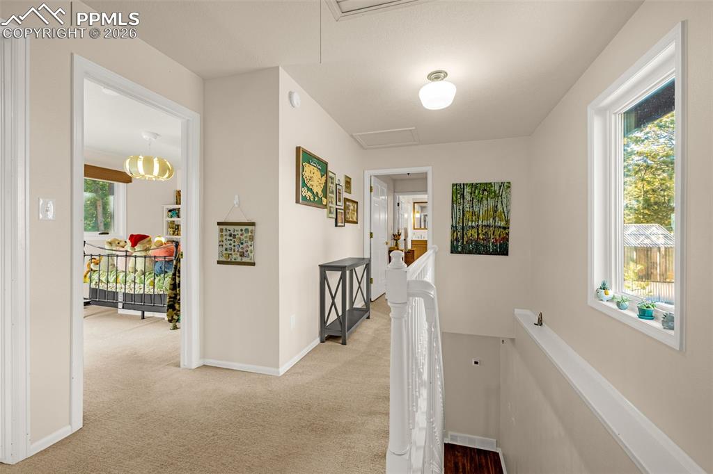 Image 25 of 47: Other