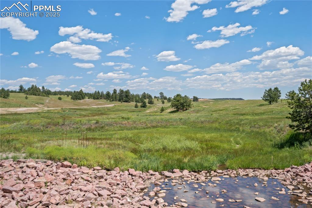 Image 10 of 15: View
