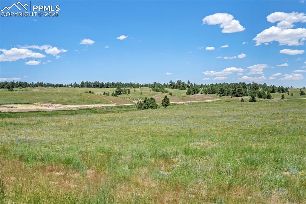 Image 4 of 15: View