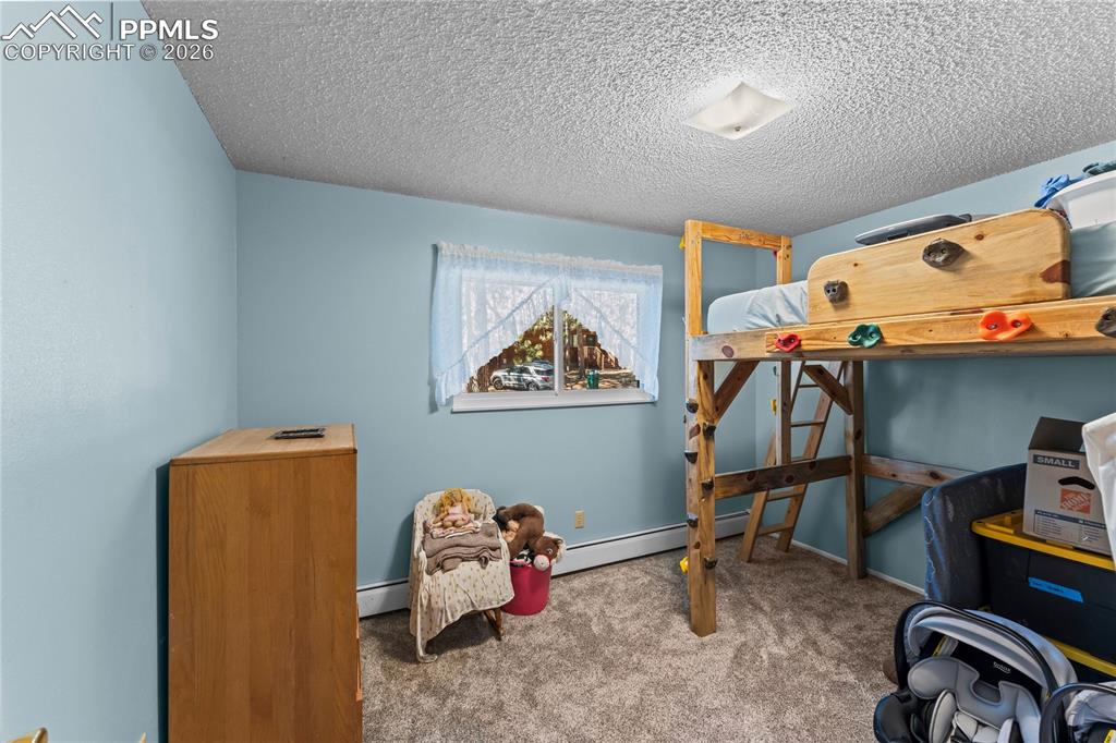 Image 22 of 47: Room featuring a built-in loft bed with a ladder and climbing holds, carpet