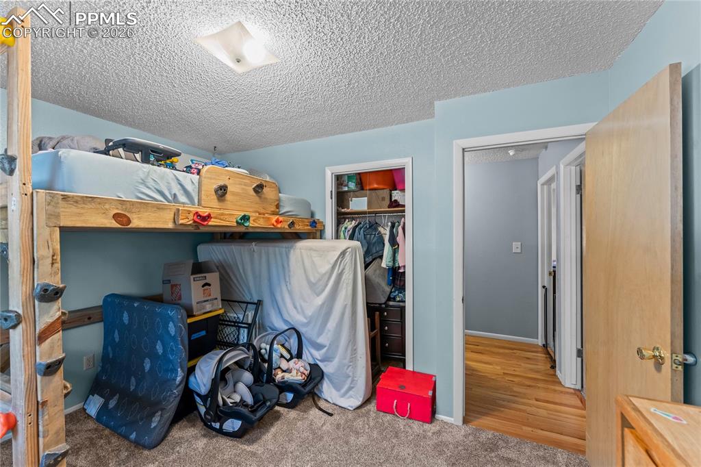 Image 23 of 47: Carpeted room with light blue painted walls